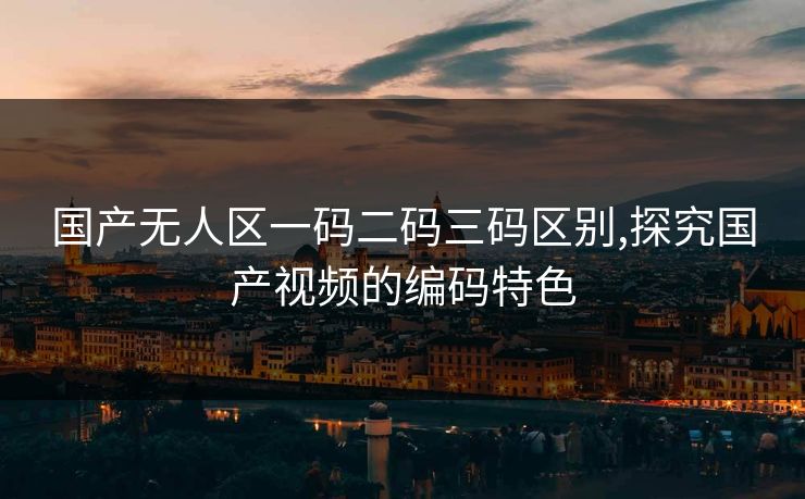 国产无人区一码二码三码区别,探究国产视频的编码特色