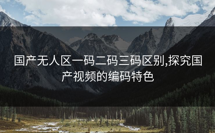 国产无人区一码二码三码区别,探究国产视频的编码特色