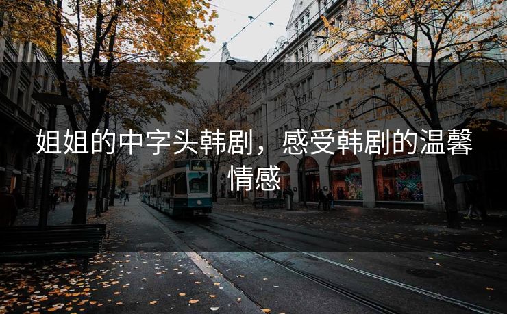 姐姐的中字头韩剧，感受韩剧的温馨情感