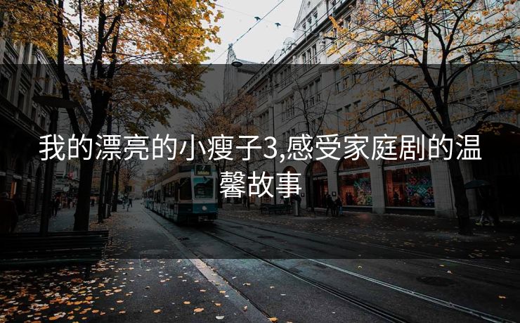 我的漂亮的小瘦子3,感受家庭剧的温馨故事