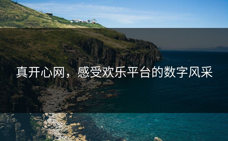 真开心网，感受欢乐平台的数字风采