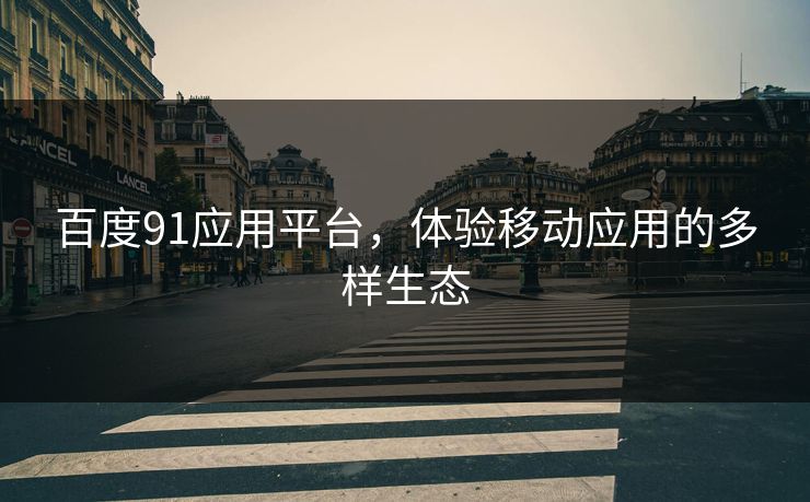 百度91应用平台，体验移动应用的多样生态