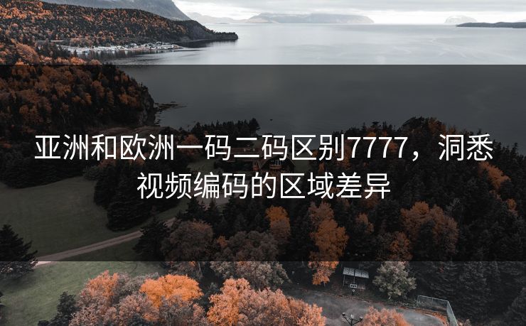 亚洲和欧洲一码二码区别7777,洞悉视频编码的区域差异 亚洲和欧洲一码二码区别7777,洞悉视频编码的区域差异
