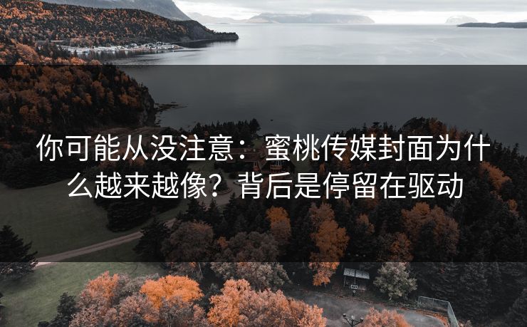 你可能从没注意:蜜桃传媒封面为什么越来越像?背后是停留在驱动 你可能从没注意:蜜桃传媒封面为什么越来越像?背后是停留在驱动