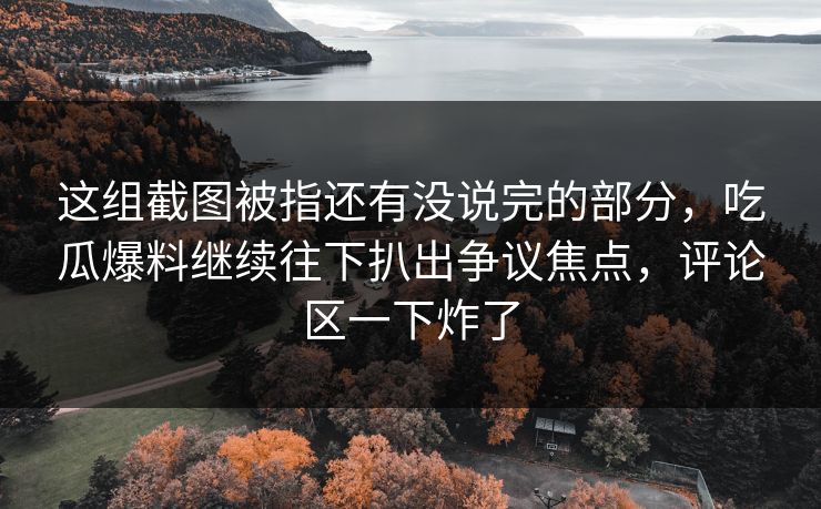 这组截图被指还有没说完的部分，吃瓜爆料继续往下扒出争议焦点，评论区一下炸了